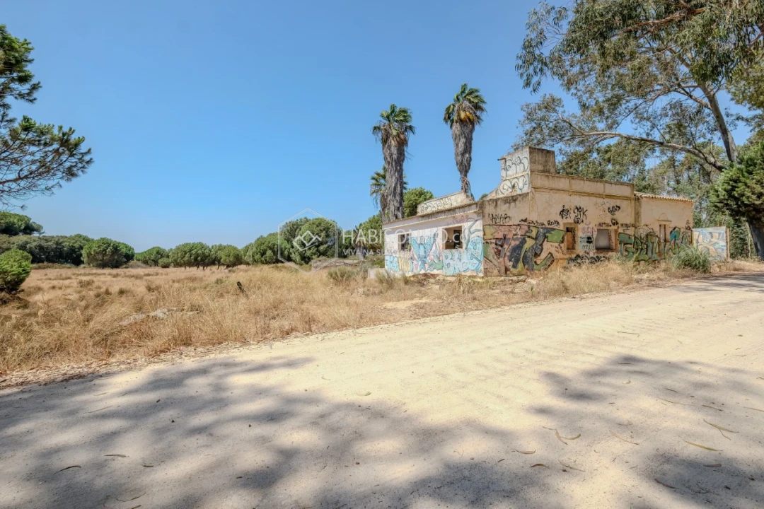 Quinta T2 para Venda em Montenegro Foto 10