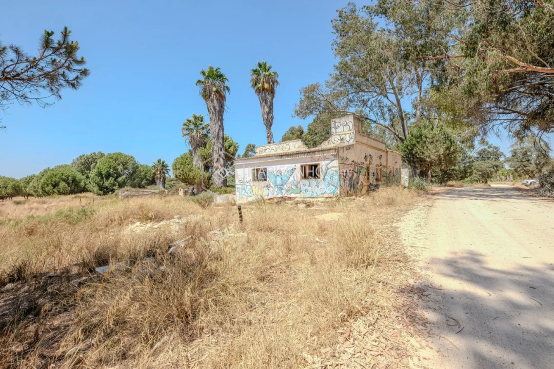 Quinta T2 para Venda em Montenegro Foto 11