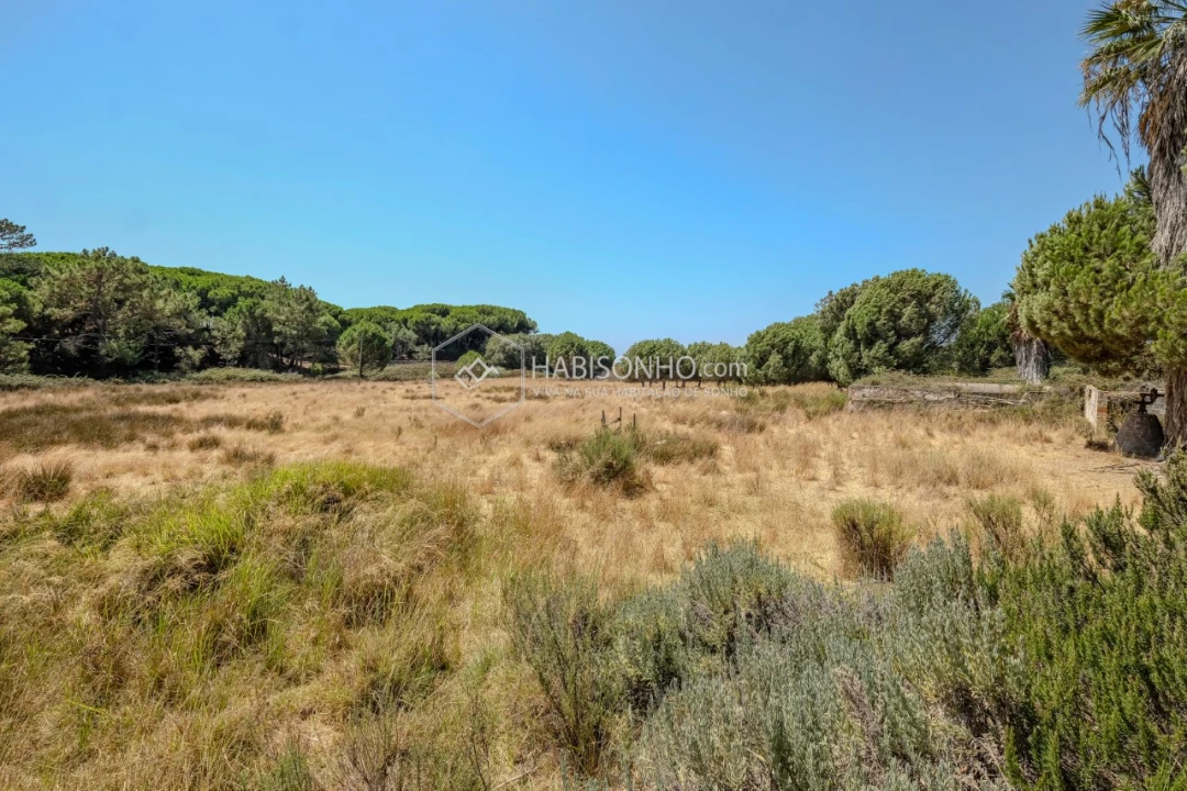 Quinta T2 para Venda em Montenegro Foto 14