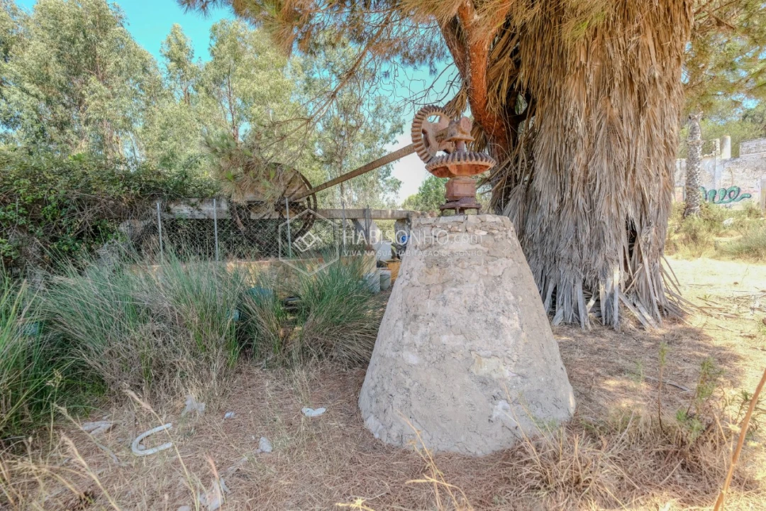 Quinta T2 para Venda em Montenegro Foto 16