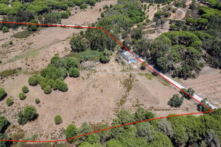 Quinta T2 para Venda em Montenegro Foto 4