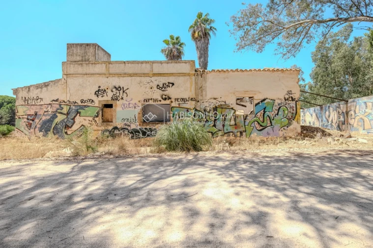 Quinta T2 para Venda em Montenegro Foto 8