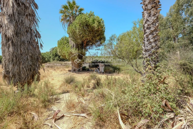 Quinta T2 para Venda em Montenegro Foto 15