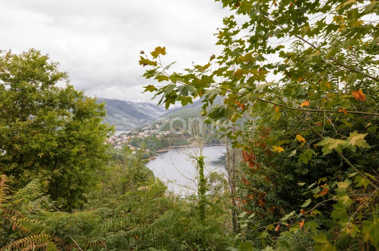 Moradia T4 para Venda em Ventosa e Cova Foto 48