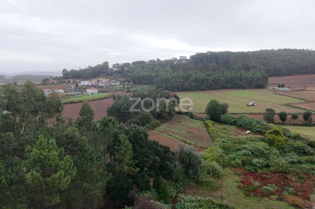 Moradia T1 para Venda em Gondifelos, Cavalões e Outiz Foto 6