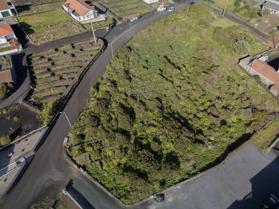 Terreno para Venda em Lajes do Pico Foto 2