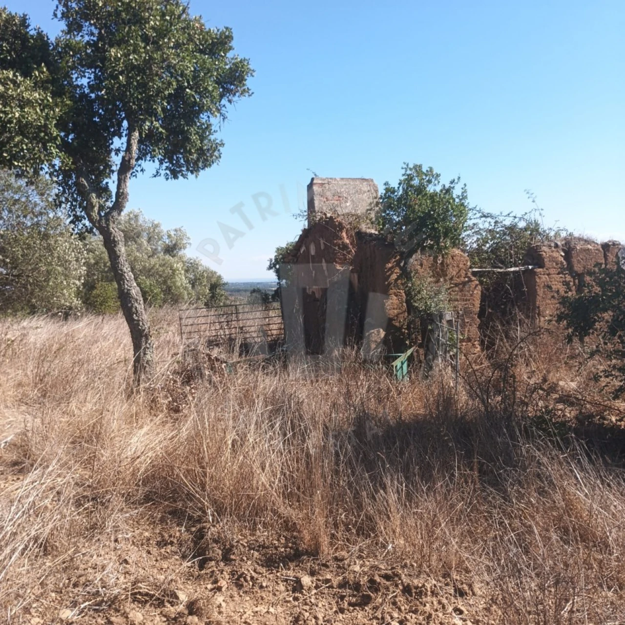 Quinta para Venda em São Francisco da Serra Foto 1