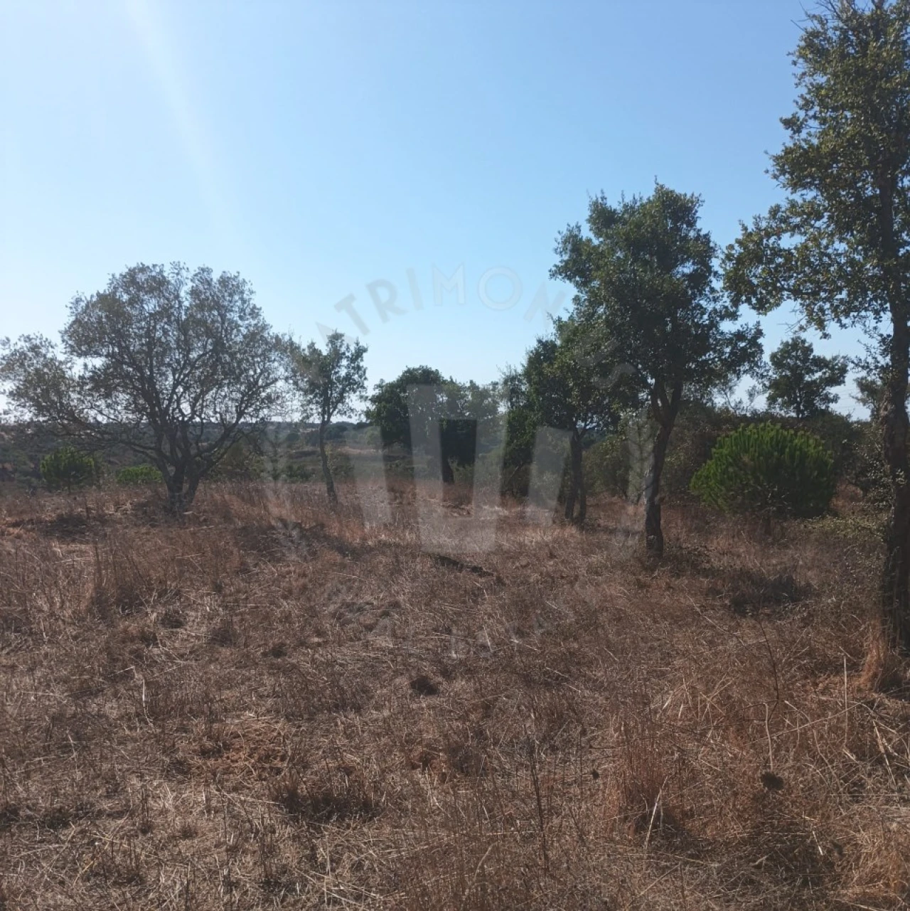 Quinta para Venda em São Francisco da Serra Foto 2
