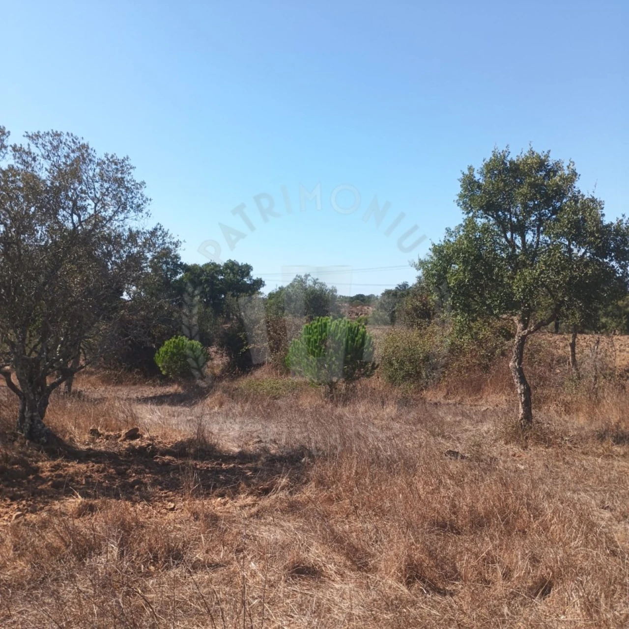 Quinta para Venda em São Francisco da Serra Foto 3