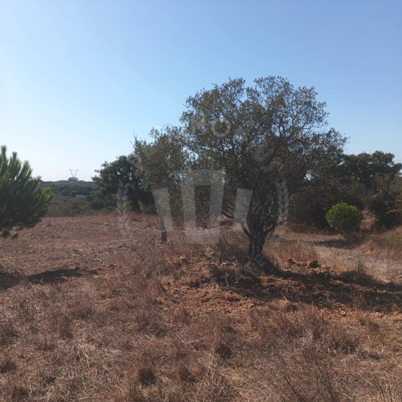 Quinta para Venda em São Francisco da Serra Foto 4