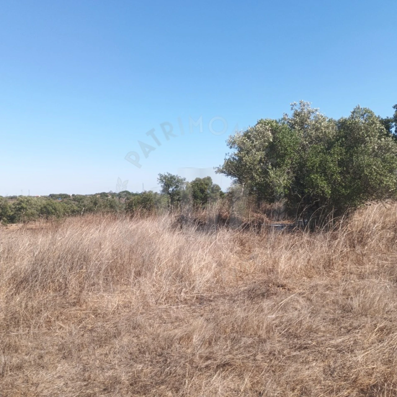 Quinta para Venda em São Francisco da Serra Foto 5