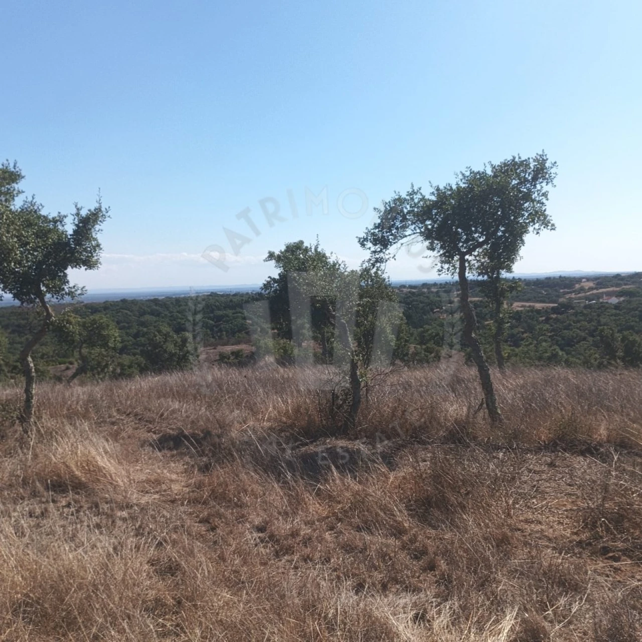 Quinta para Venda em São Francisco da Serra Foto 8