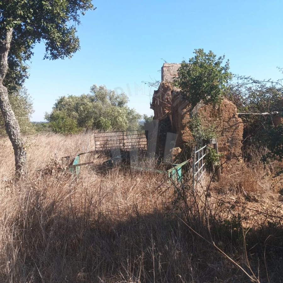 Quinta para Venda em São Francisco da Serra Foto 6