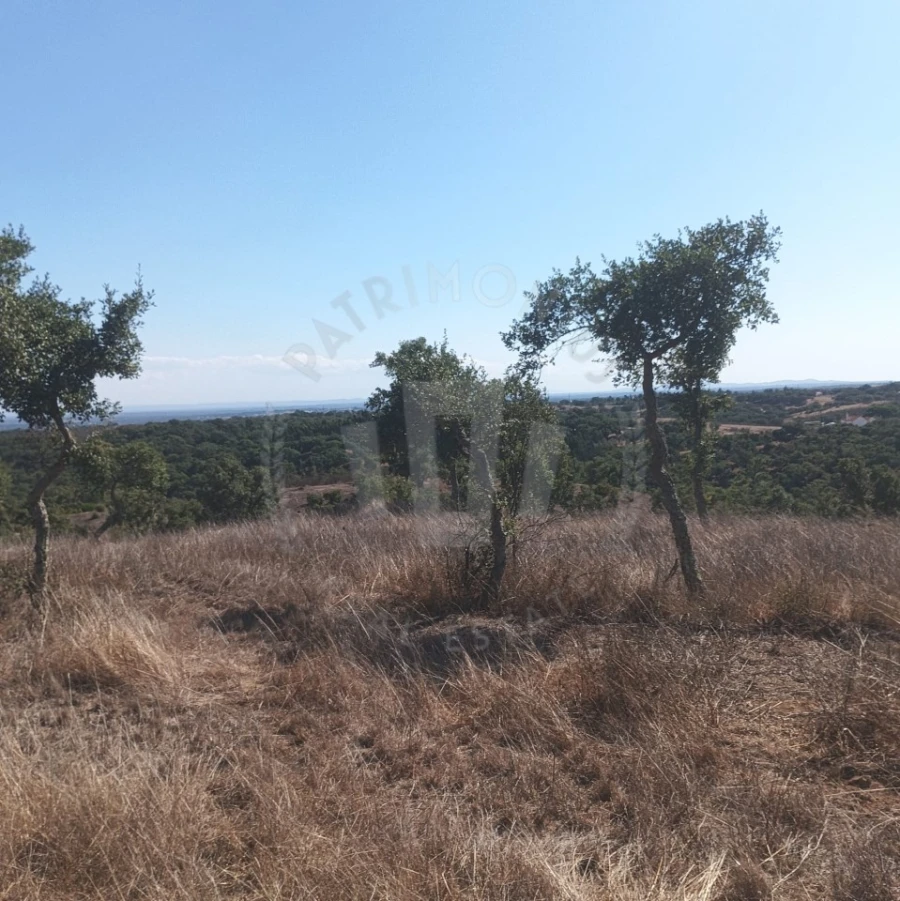 Quinta para Venda em São Francisco da Serra Foto 8