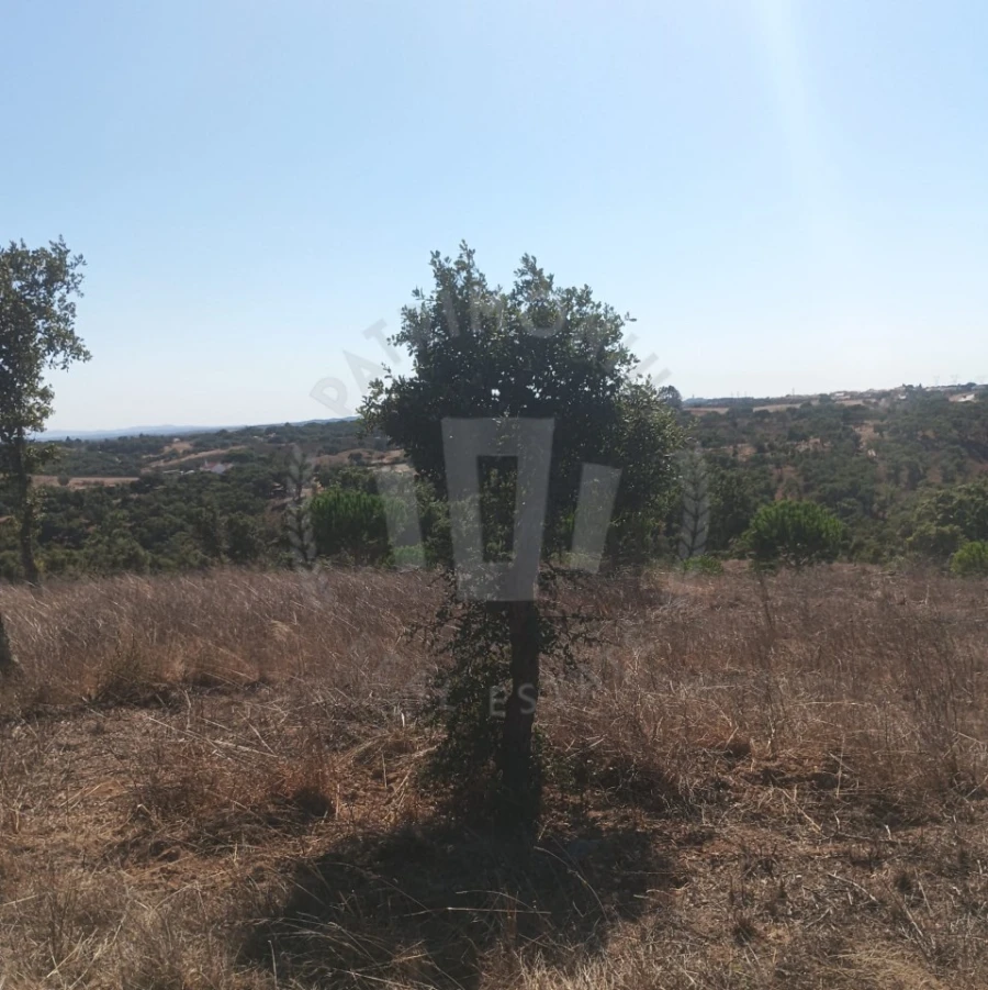 Quinta para Venda em São Francisco da Serra Foto 10