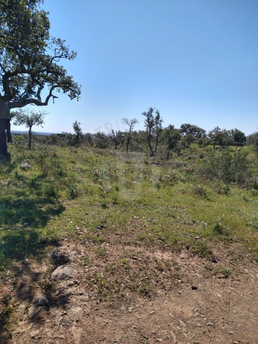 Quinta para Venda em São Francisco da Serra Foto 11