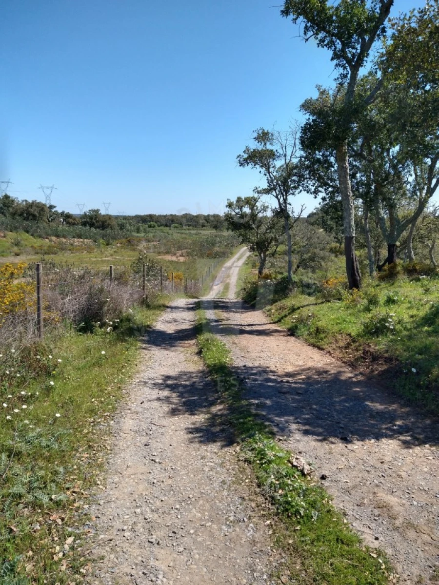 Quinta para Venda em São Francisco da Serra Foto 12