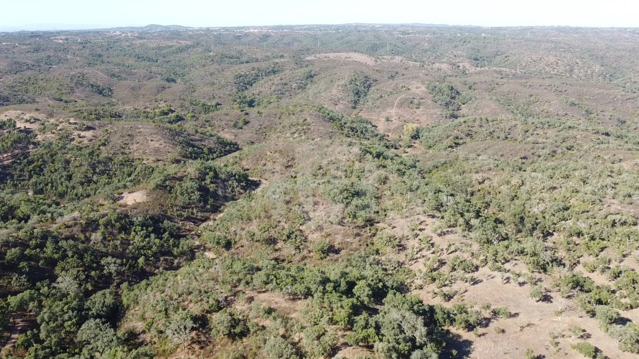 Terreno Agricola ou Rústico para Venda em Santiago do Cacém, Santa Cruz e São Bartolomeu da Serra Foto 4