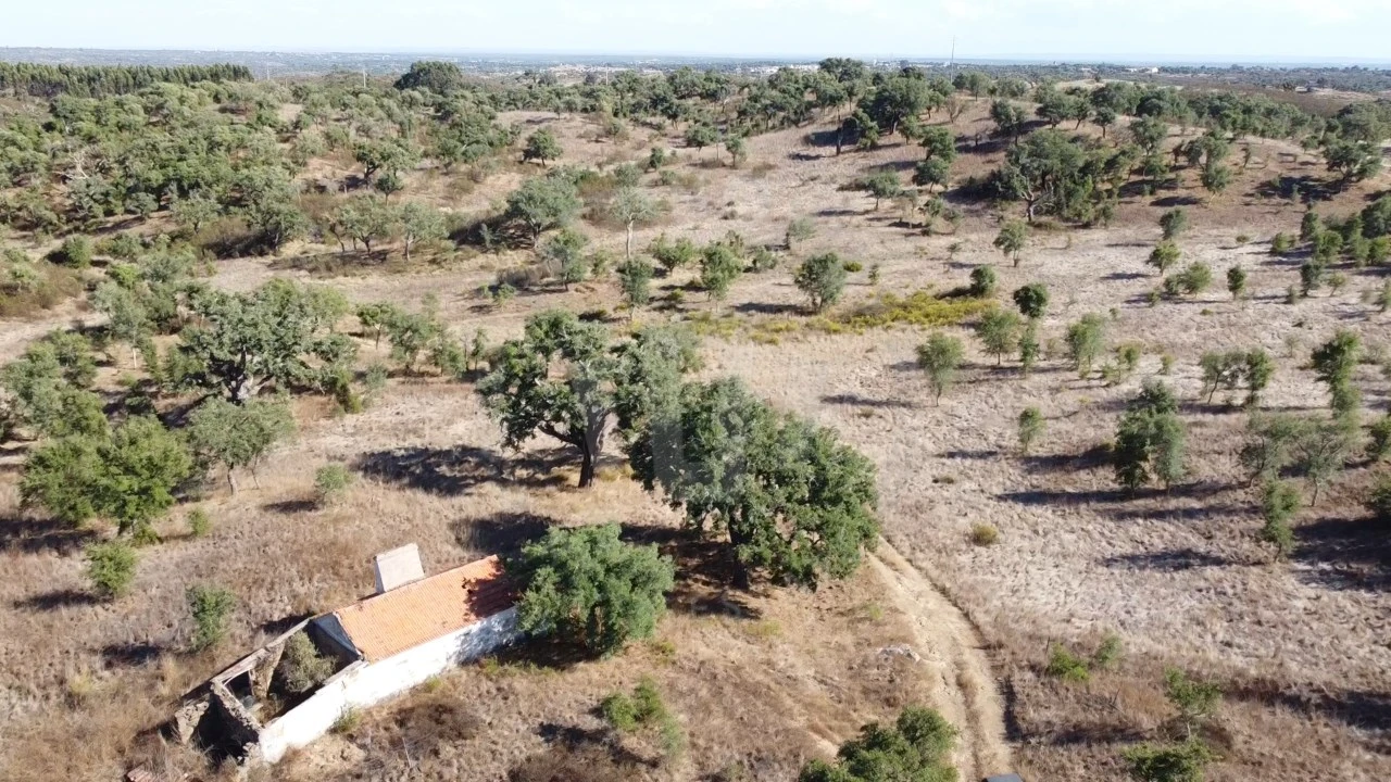Terreno Agricola ou Rústico para Venda em Santiago do Cacém, Santa Cruz e São Bartolomeu da Serra Foto 7