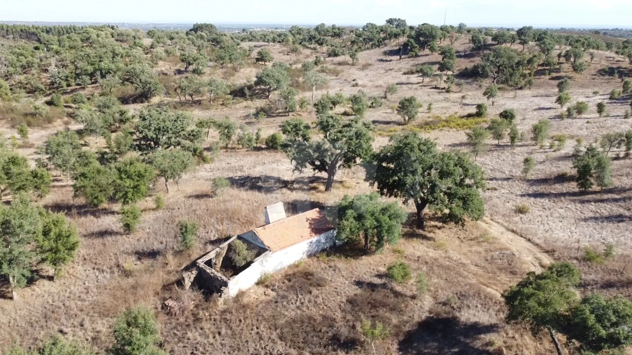 Terreno Agricola ou Rústico para Venda em Santiago do Cacém, Santa Cruz e São Bartolomeu da Serra Foto 1