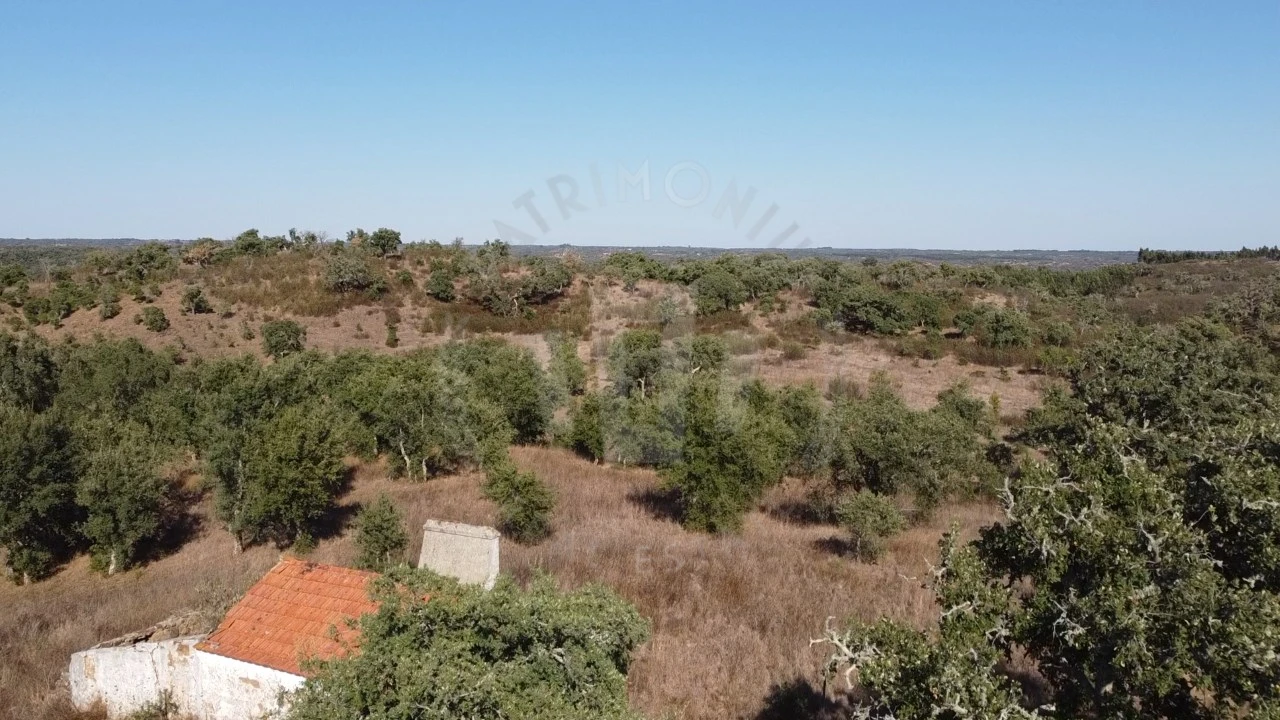 Terreno Agricola ou Rústico para Venda em Santiago do Cacém, Santa Cruz e São Bartolomeu da Serra Foto 8
