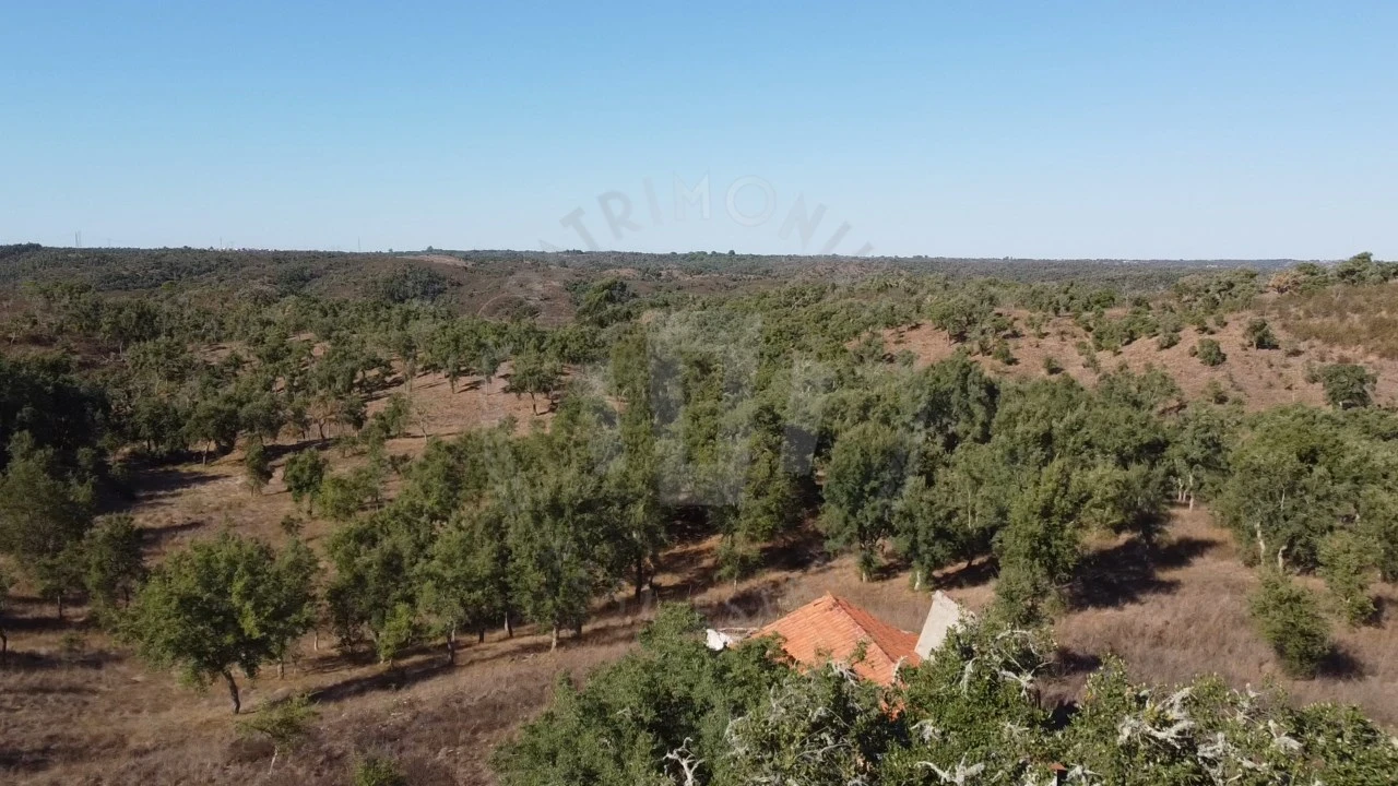 Terreno Agricola ou Rústico para Venda em Santiago do Cacém, Santa Cruz e São Bartolomeu da Serra Foto 10