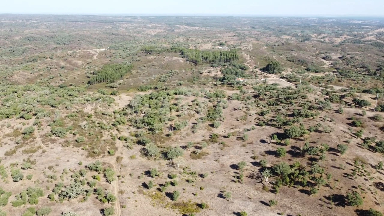 Terreno Agricola ou Rústico para Venda em Santiago do Cacém, Santa Cruz e São Bartolomeu da Serra Foto 12