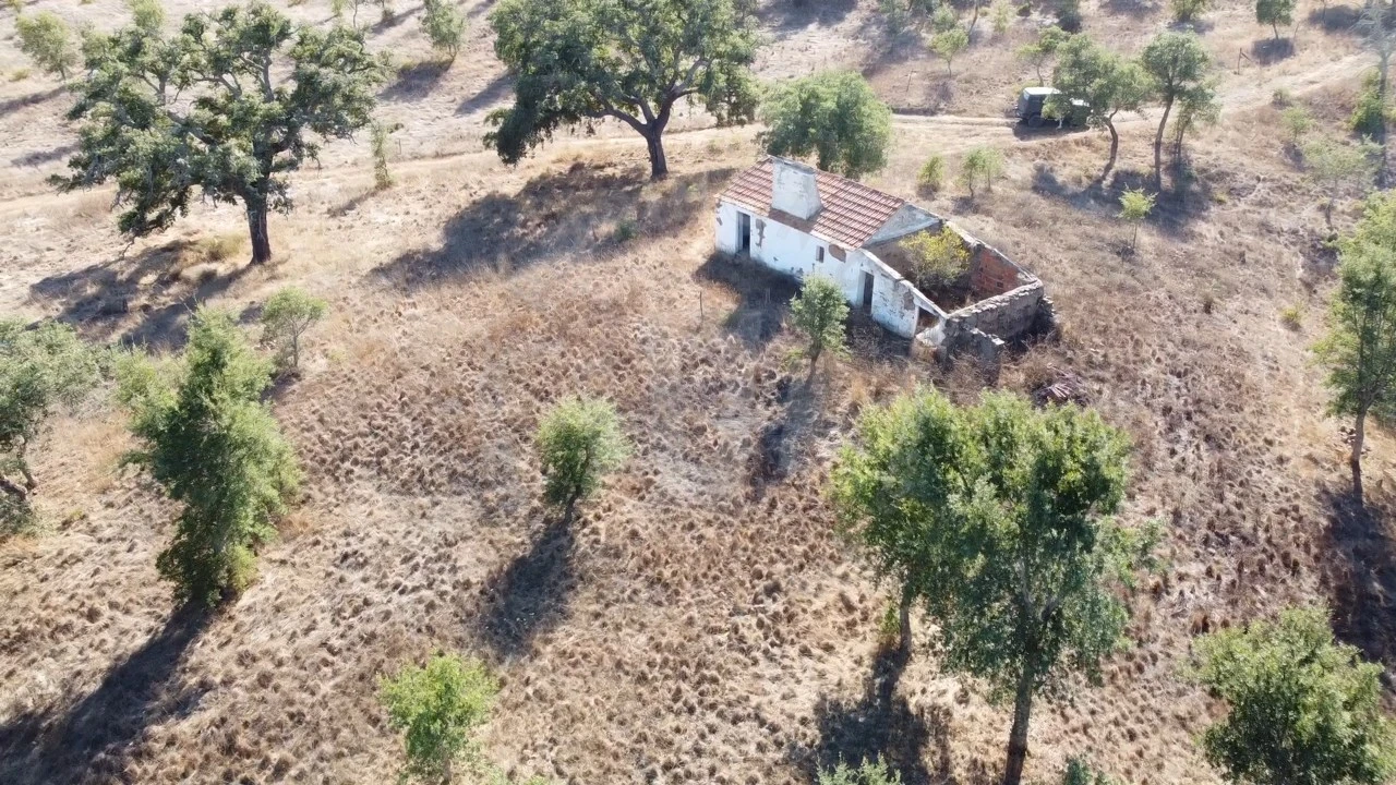 Terreno Agricola ou Rústico para Venda em Santiago do Cacém, Santa Cruz e São Bartolomeu da Serra Foto 13