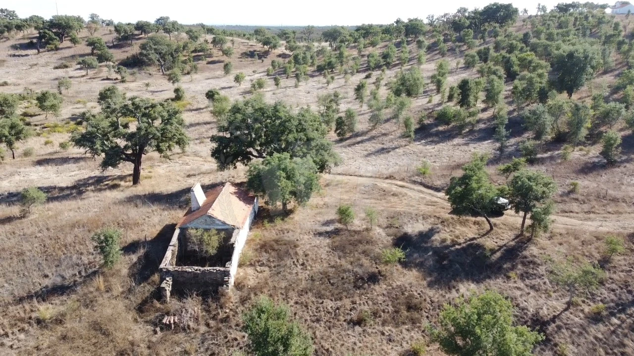 Terreno Agricola ou Rústico para Venda em Santiago do Cacém, Santa Cruz e São Bartolomeu da Serra Foto 16