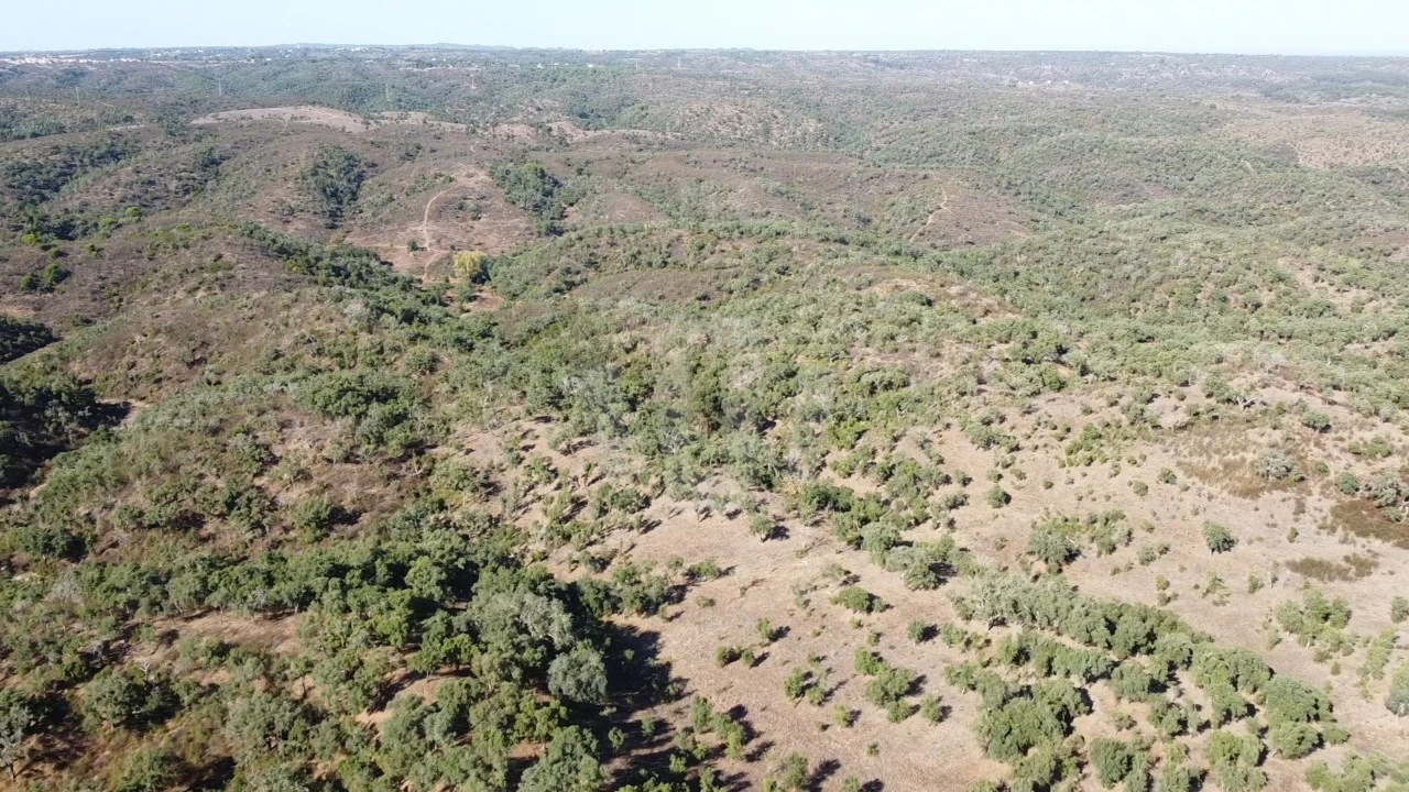 Terreno Agricola ou Rústico para Venda em Santiago do Cacém, Santa Cruz e São Bartolomeu da Serra Foto 17