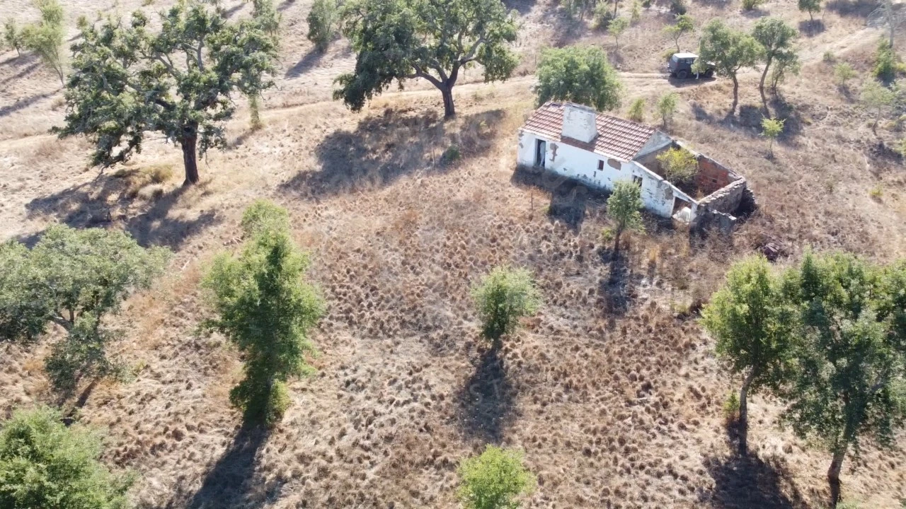 Terreno Agricola ou Rústico para Venda em Santiago do Cacém, Santa Cruz e São Bartolomeu da Serra Foto 19