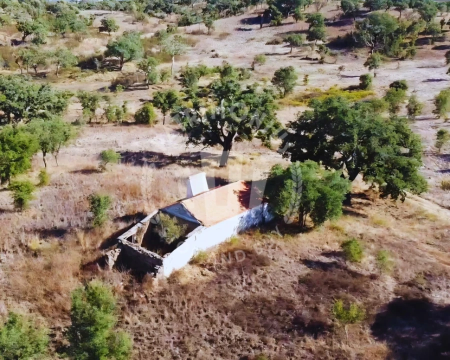 Terreno Agricola ou Rústico para Venda em Santiago do Cacém, Santa Cruz e São Bartolomeu da Serra Foto 4