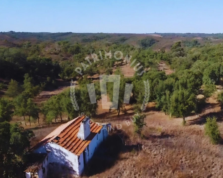 Terreno Agricola ou Rústico para Venda em Santiago do Cacém, Santa Cruz e São Bartolomeu da Serra Foto 5