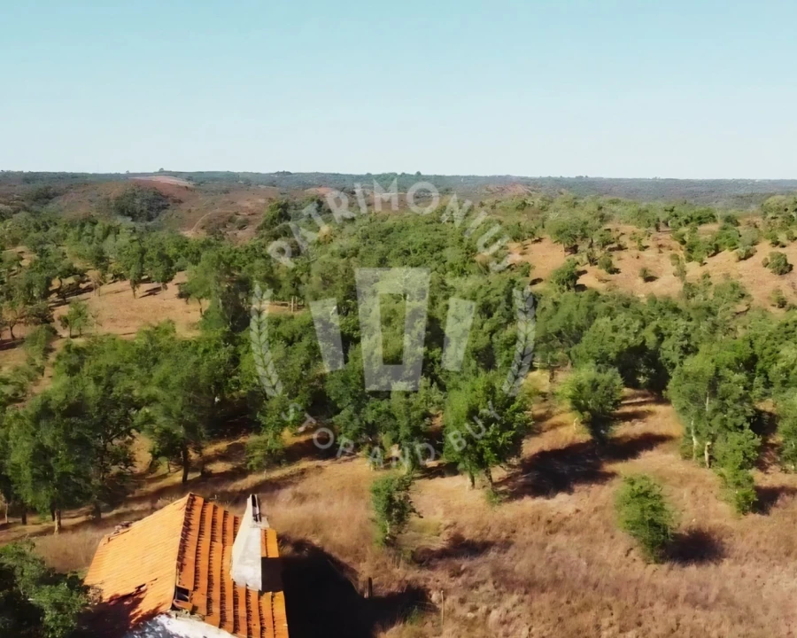 Terreno Agricola ou Rústico para Venda em Santiago do Cacém, Santa Cruz e São Bartolomeu da Serra Foto 6