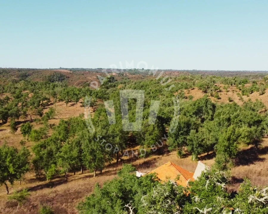 Terreno Agricola ou Rústico para Venda em Santiago do Cacém, Santa Cruz e São Bartolomeu da Serra Foto 7