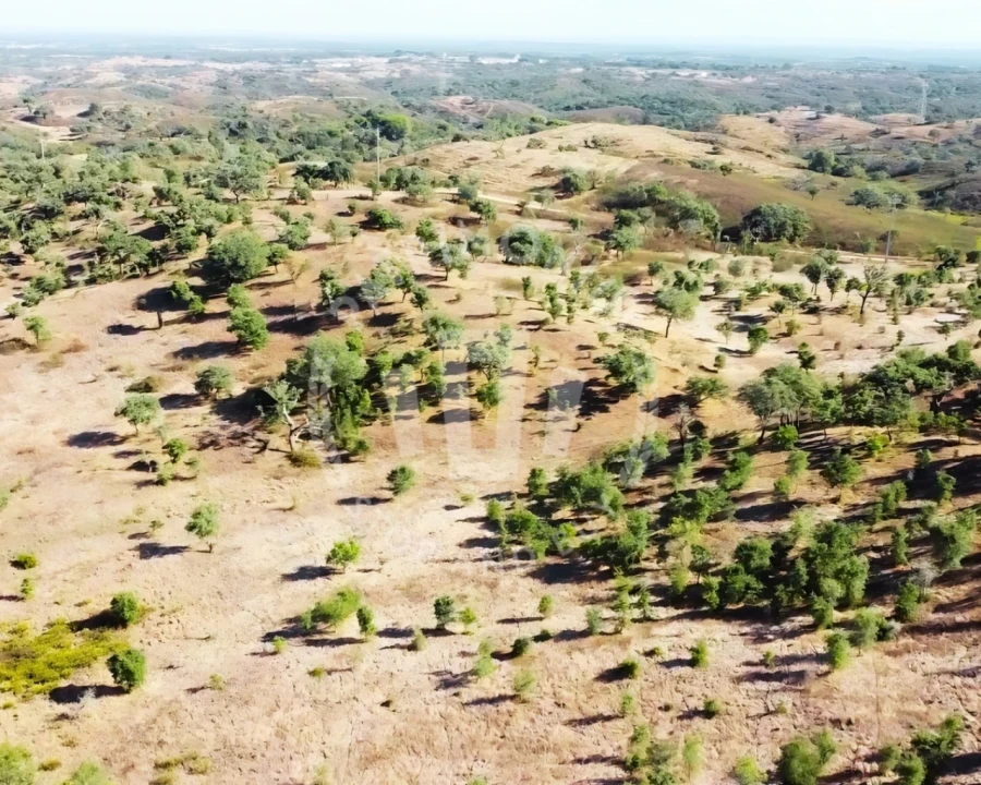 Terreno Agricola ou Rústico para Venda em Santiago do Cacém, Santa Cruz e São Bartolomeu da Serra Foto 8