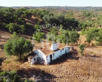 Terreno Agricola ou Rústico para Venda em Santiago do Cacém, Santa Cruz e São Bartolomeu da Serra