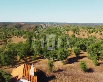 Terreno Agricola ou Rústico para Venda em Santiago do Cacém, Santa Cruz e São Bartolomeu da Serra