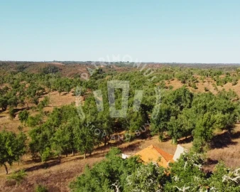 Terreno Agricola ou Rústico para Venda em Santiago do Cacém, Santa Cruz e São Bartolomeu da Serra