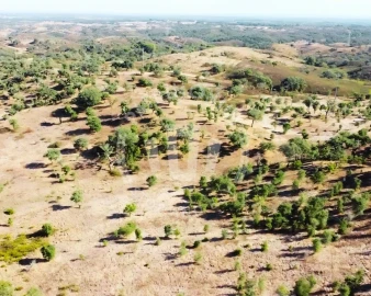 Terreno Agricola ou Rústico para Venda em Santiago do Cacém, Santa Cruz e São Bartolomeu da Serra