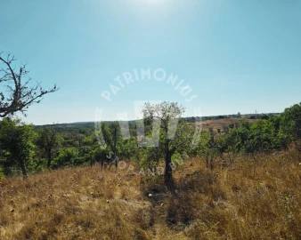 Terreno Agricola ou Rústico para Venda em Santiago do Cacém, Santa Cruz e São Bartolomeu da Serra