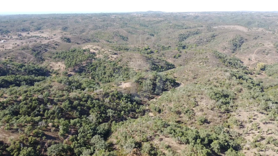 Terreno Agricola ou Rústico para Venda em Santiago do Cacém, Santa Cruz e São Bartolomeu da Serra Foto 2