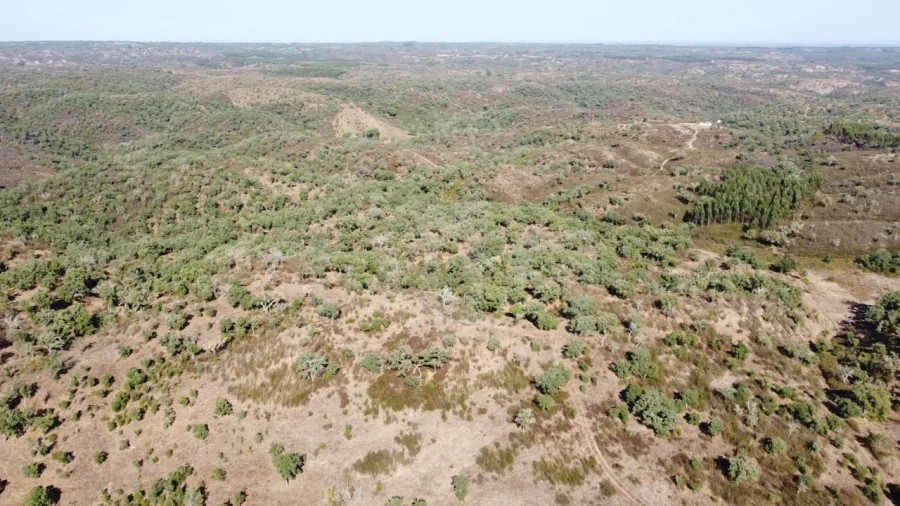 Terreno Agricola ou Rústico para Venda em Santiago do Cacém, Santa Cruz e São Bartolomeu da Serra Foto 5