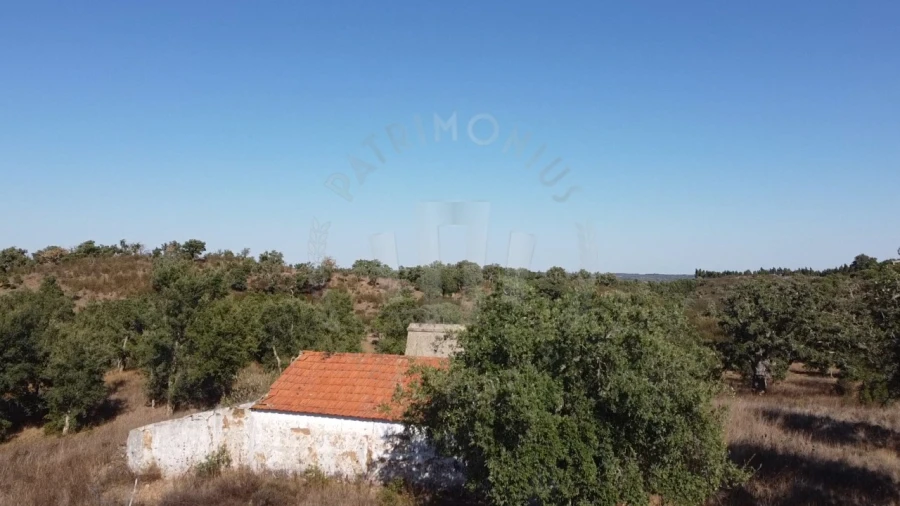 Terreno Agricola ou Rústico para Venda em Santiago do Cacém, Santa Cruz e São Bartolomeu da Serra Foto 9