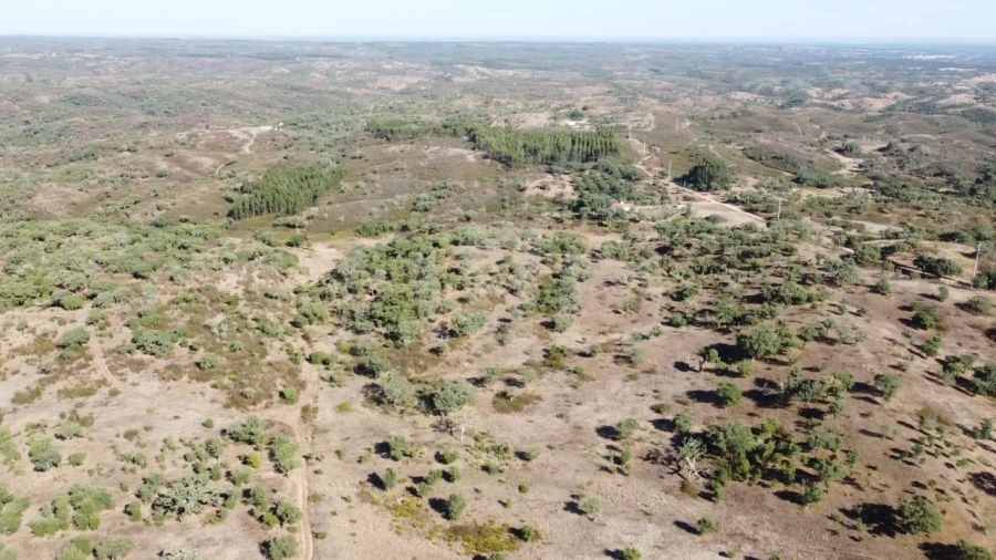 Terreno Agricola ou Rústico para Venda em Santiago do Cacém, Santa Cruz e São Bartolomeu da Serra Foto 12