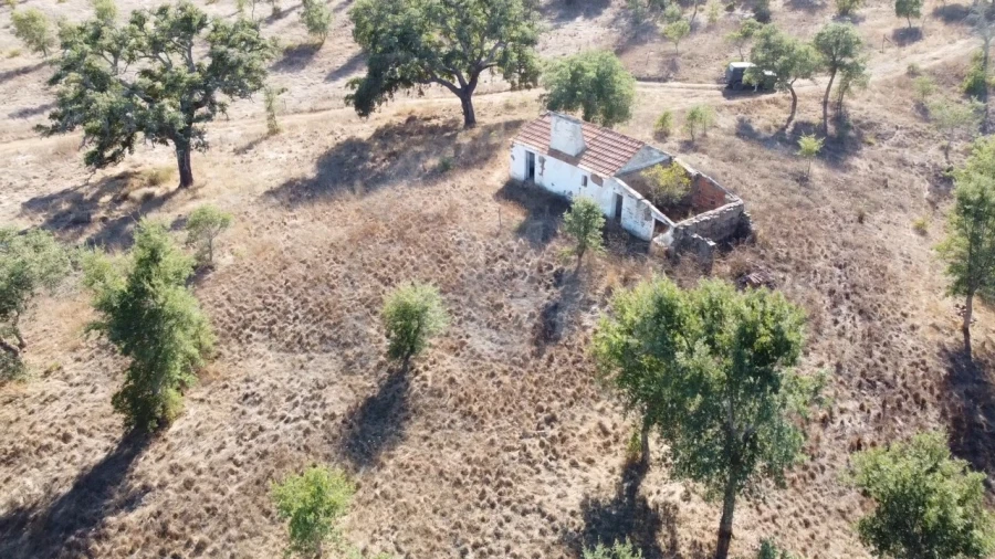 Terreno Agricola ou Rústico para Venda em Santiago do Cacém, Santa Cruz e São Bartolomeu da Serra Foto 13