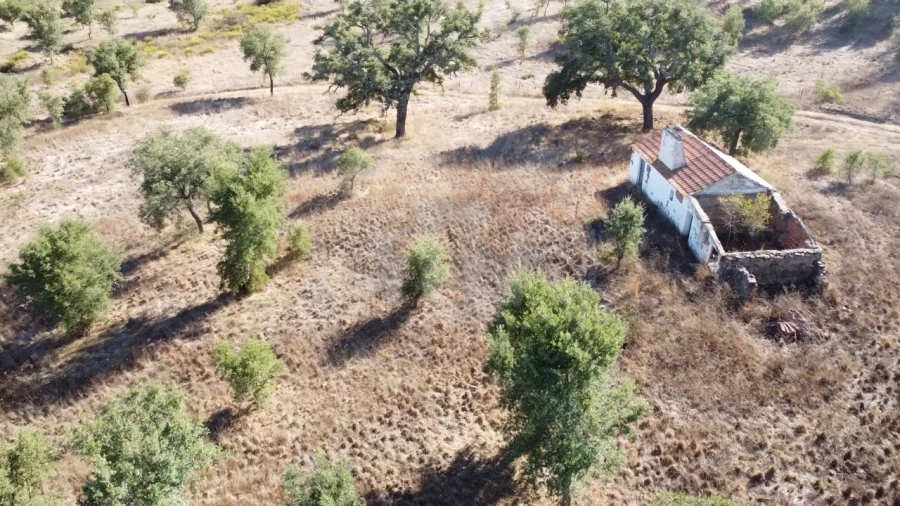 Terreno Agricola ou Rústico para Venda em Santiago do Cacém, Santa Cruz e São Bartolomeu da Serra Foto 14
