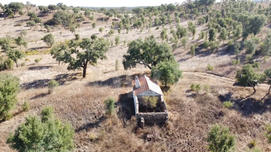 Terreno Agricola ou Rústico para Venda em Santiago do Cacém, Santa Cruz e São Bartolomeu da Serra Foto 15
