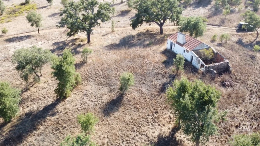 Terreno Agricola ou Rústico para Venda em Santiago do Cacém, Santa Cruz e São Bartolomeu da Serra Foto 18