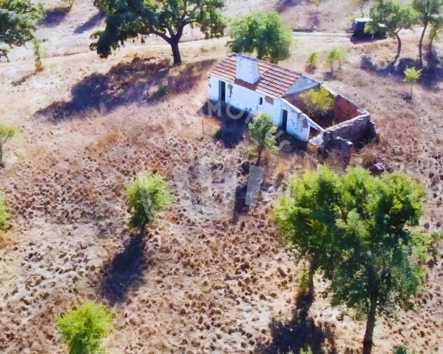 Terreno Agricola ou Rústico para Venda em Santiago do Cacém, Santa Cruz e São Bartolomeu da Serra Foto 3